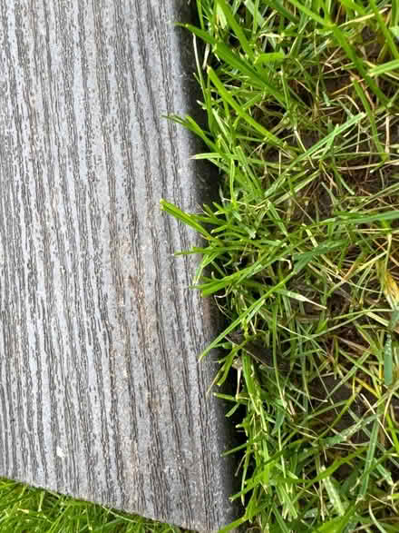 Photo of free Composite decking (Meldreth) #3