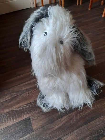 Photo of free Toy Dog (B/S Parsonage Estate) #1