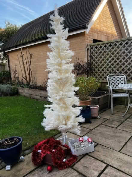 Photo of free 6 ft White Slim Christmas Tree (Oakham LE15) #1