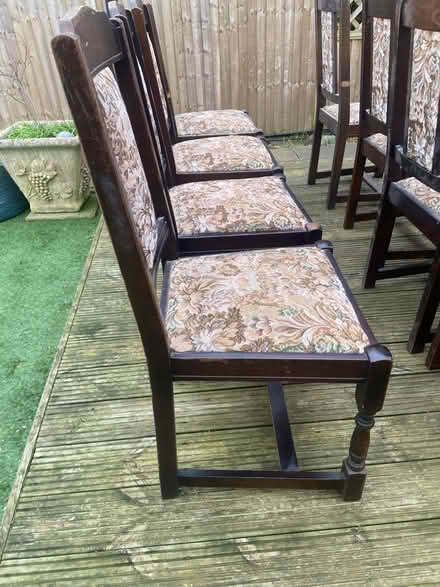 Photo of free Vintage dining chairs (Fareham PO14) #4