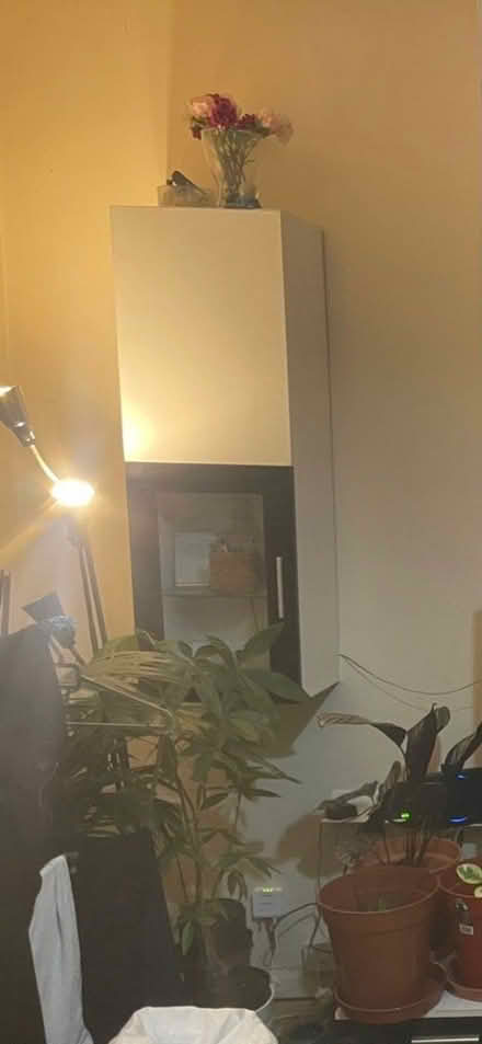 Photo of free Ikea wall cabinets (Ladywell road) #1