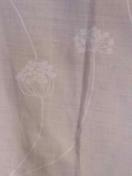 Photo of free Cream coloured patterned curtains (Harrogate HG1) #1
