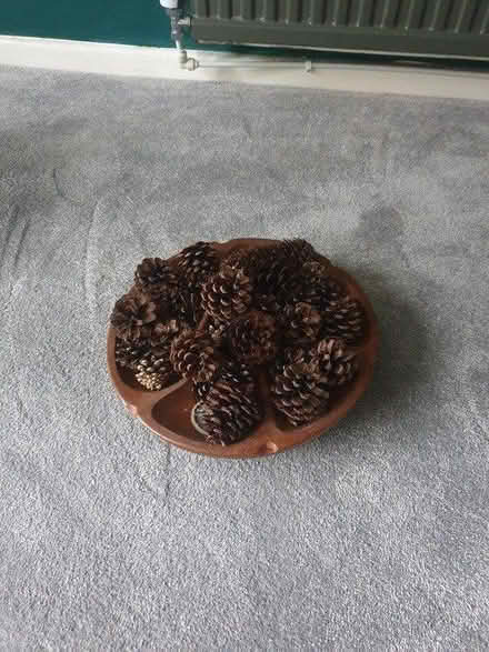 Photo of free Wooden bowl and pine cones (NG8, Nottingham) #1