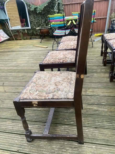 Photo of free Vintage dining chairs (Fareham PO14) #3