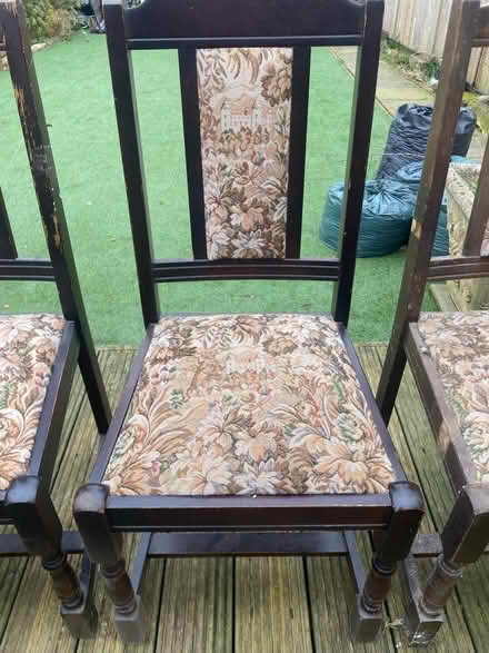 Photo of free Vintage dining chairs (Fareham PO14) #2