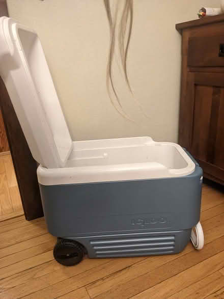 Photo of free Igloo Cooler (Madison West of Downtown) #3