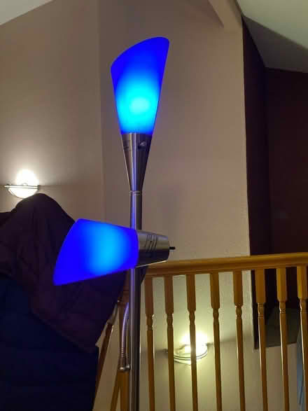 Photo of free Floor lamp (Hayward) #1