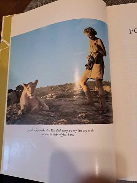 Photo of free Forever (Yaxley) #3
