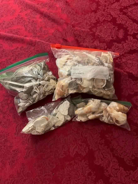 Photo of free Shells (5 blocks S of DGSHS) #1