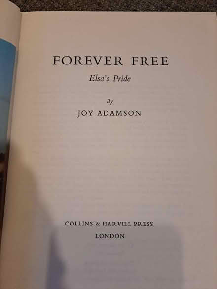 Photo of free Forever (Yaxley) #2