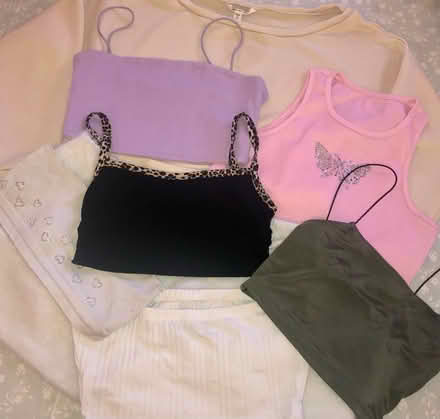 Photo of free 8 cropped tops for girls (Whetstone N20) #1