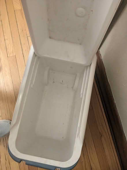 Photo of free Igloo Cooler (Madison West of Downtown) #2
