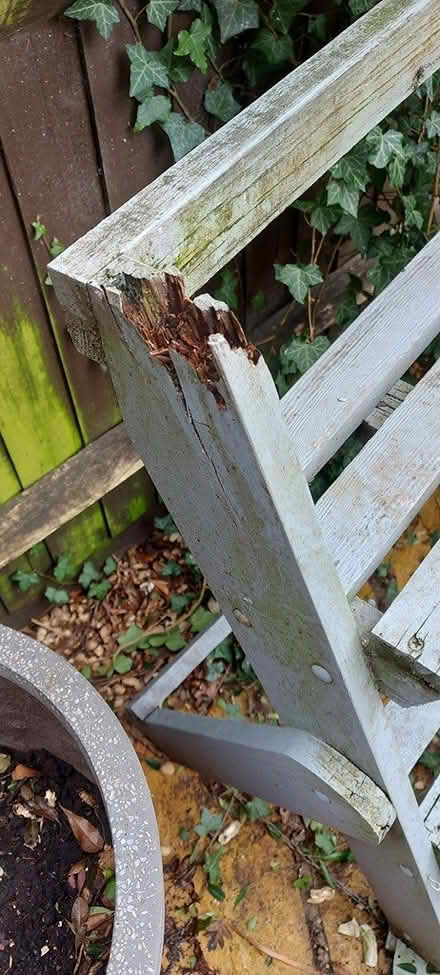 Photo of free Garden shelving (Fleetville) #3