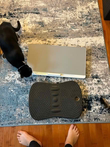 Photo of free Wobble board and portable desk (College park) #1