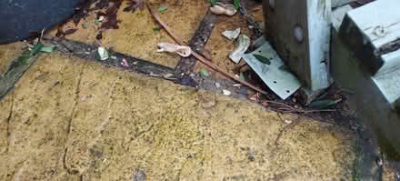 Photo of free Garden shelving (Fleetville) #2