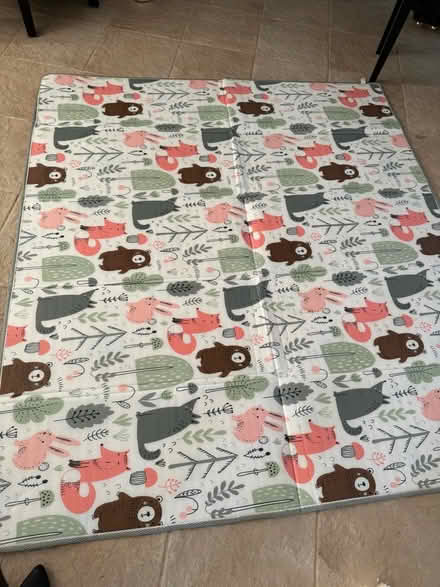 Photo of free Child Play Mat- waterproof (75115) #2