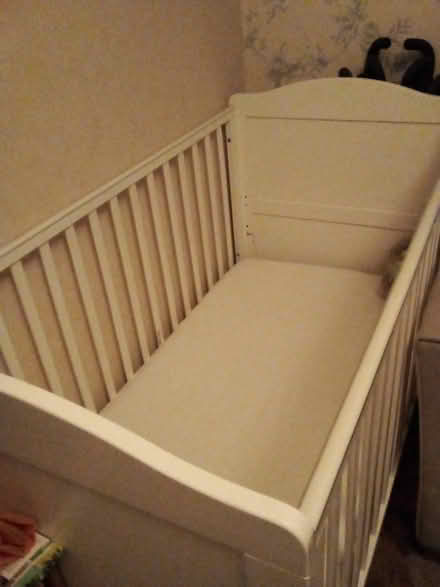Photo of free Cot (Rosewell EH24) #1