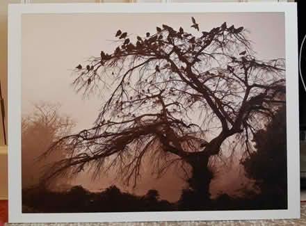 Photo of free Original artwork (South Norwood SE25) #1