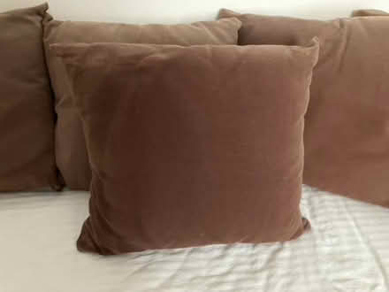 Photo of free 4 cotton-covered square cushions (West Hill BN1) #1