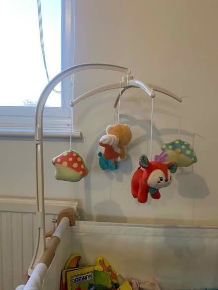 Photo of free Baby cot mobile (Symonds green SG1) #1