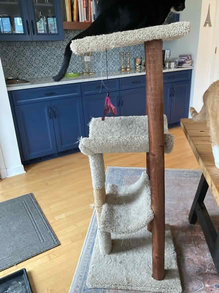 Photo of free Cat condo (Evanston, near Penny Park) #1