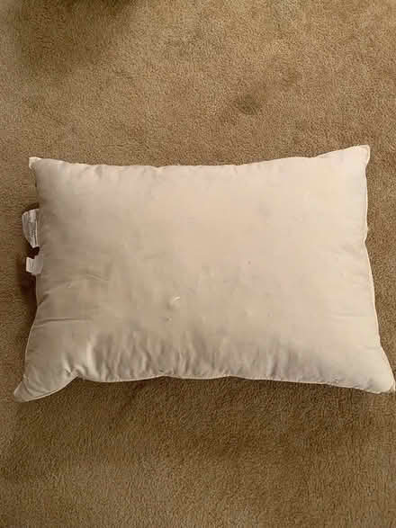 Photo of free Down pillow (Shoreview, WBL, VHgts, RV) #1