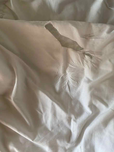 Photo of free King size duvet, light-medium (Southwark SE1) #3
