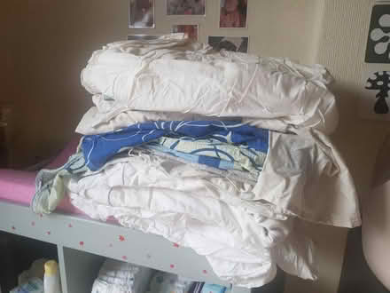 Photo of free Double bed bedding (Edgeley) #2