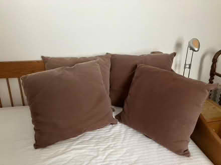 Photo of free 4 cotton-covered square cushions (West Hill BN1) #2