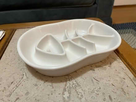 Photo of free Slow-feed cat bowl (Fair Haven) #1