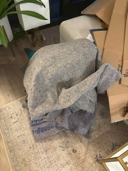 Photo of free Moving boxes and uhaul blankets (NoMa) #1