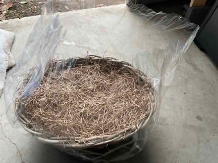Photo of free Large gift basket (Rogers Rd and Keele St) #2