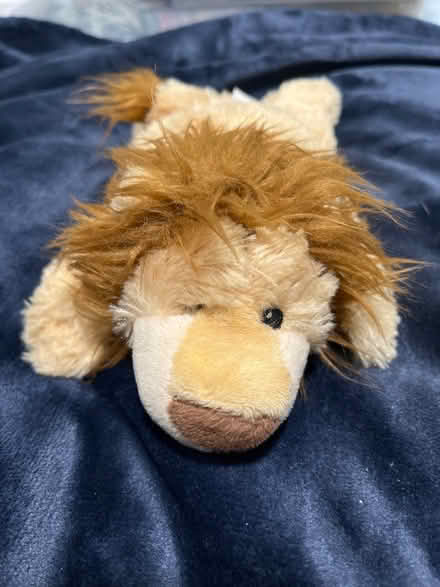 Photo of free Lion screen cleaner (CV1) #1