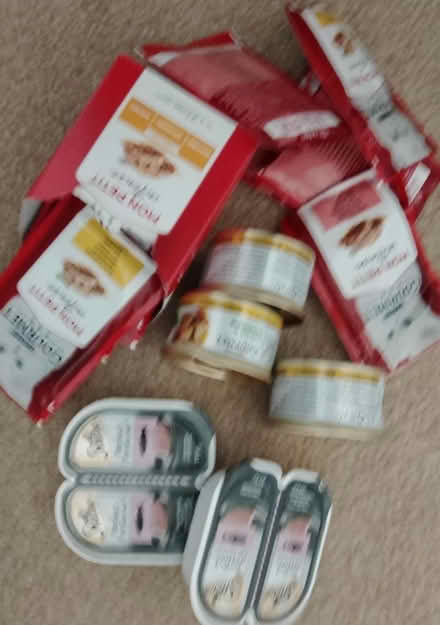 Photo of free Miscellaneous Cat Food (Loughborough LE11) #1