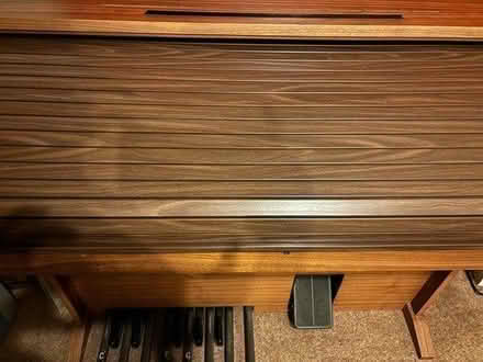 Photo of free Electronic Organ (RG1 Palmer Park) #3