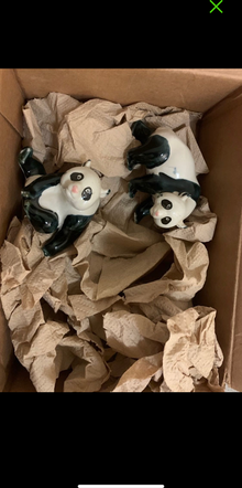Photo of free Panda (North Seattle) #1