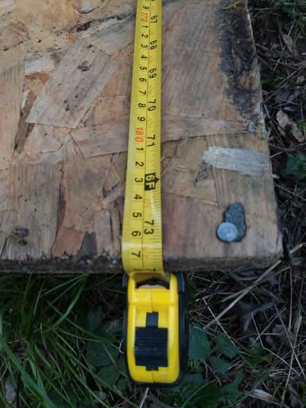 Photo of free Large Wood Panel from Shed (HA5 Eastcote Pinner) #3