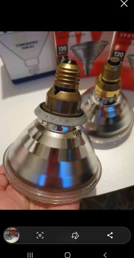 Photo of free Big light bulbs (Chiswick W4) #1