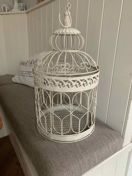 Photo of free Plant cage (Tadworth, Surrey) #1
