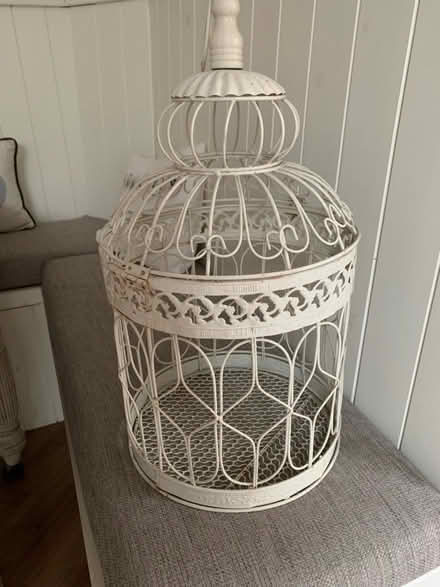 Photo of free Plant cage (Tadworth, Surrey) #2