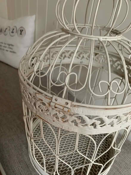 Photo of free Plant cage (Tadworth, Surrey) #4