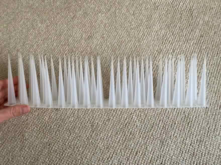 Photo of free Bird spikes (Winchester) #2