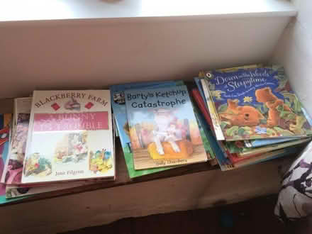 Photo of free Children’s books (Painswick GL6) #1