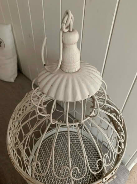 Photo of free Plant cage (Tadworth, Surrey) #3