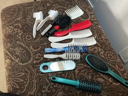 Photo of free Various combs and brushes (L6M 1H8) #1
