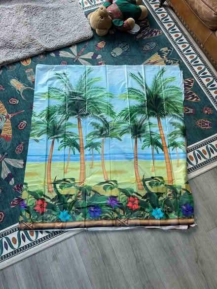 Photo of free Tropical island scene setter (Crowthorne, RG45) #1