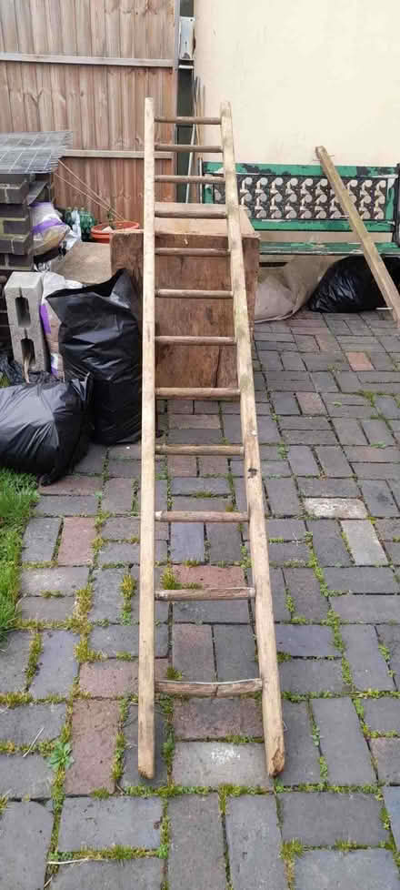 Photo of free Old wooden ladder (Shelton Lock DE24) #1