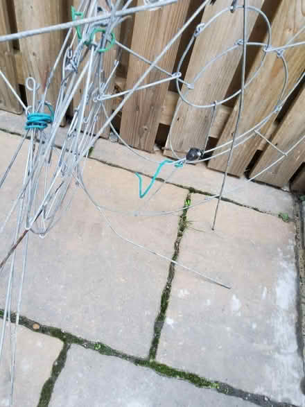 Photo of free Gardening plant ring support (Comiston EH10) #1