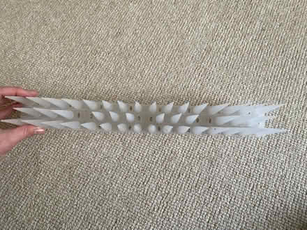Photo of free Bird spikes (Winchester) #3