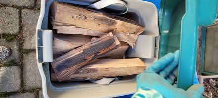Photo of free Firewood & Kindling (Sprague HS) #1